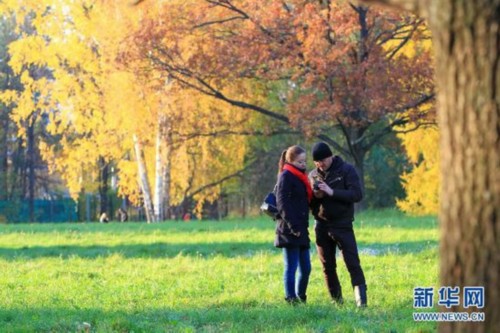 秋季天高云淡，气候宜人，是出行的好时节。你是否正在寻找下一个度假胜地？让我们跟着镜头中的美景去旅行，欣赏秋天的湖光山色、红叶斑斓。这是2012年10月13日在俄罗斯圣彼得堡拍摄的巴甫洛夫斯克公园秋景。巴甫洛夫斯克公园建于18世纪末至19世纪初，是俄罗斯及全欧最大的公园之一。新华社记者鲁金博摄